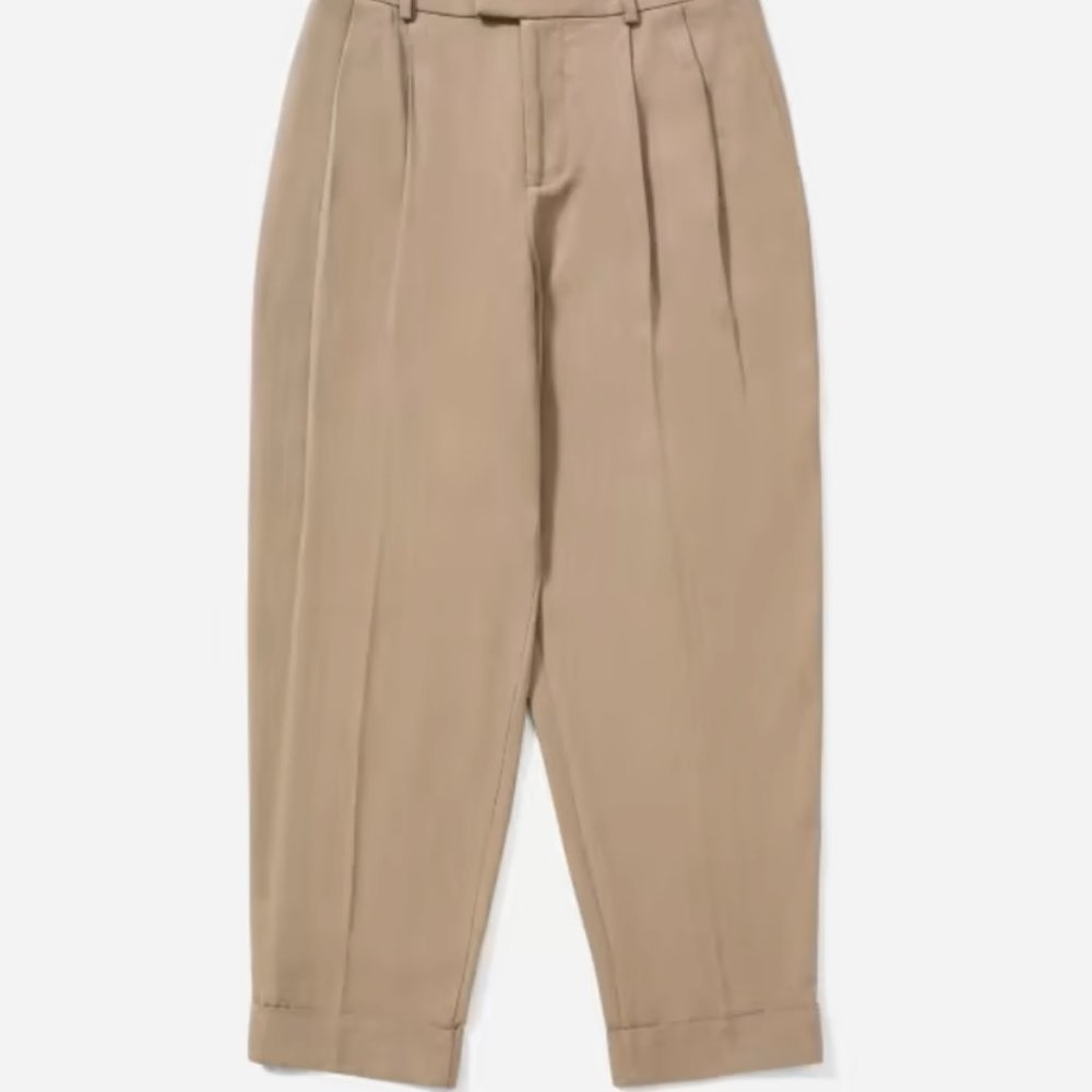 Everlane Put-Together Pleat Pant in Sand